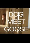 Dog Meet Goose.jpg